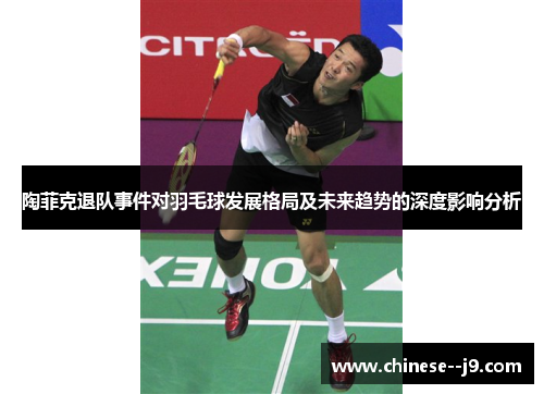 陶菲克退队事件对羽毛球发展格局及未来趋势的深度影响分析