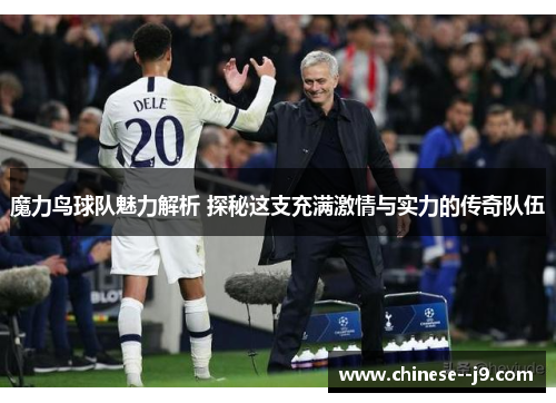 魔力鸟球队魅力解析 探秘这支充满激情与实力的传奇队伍