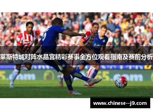莱斯特城对阵水晶宫精彩赛事全方位观看指南及赛前分析
