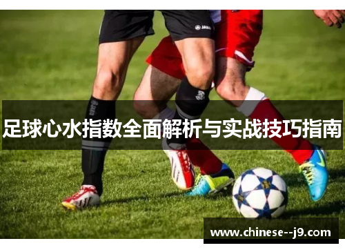 足球心水指数全面解析与实战技巧指南 足球心水指数全面解析与实战技巧指南