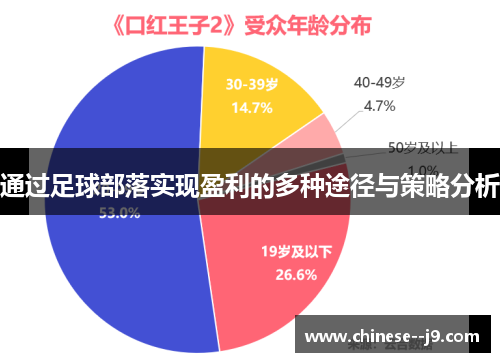 通过足球部落实现盈利的多种途径与策略分析 通过足球部落实现盈利的多种途径与策略分析
